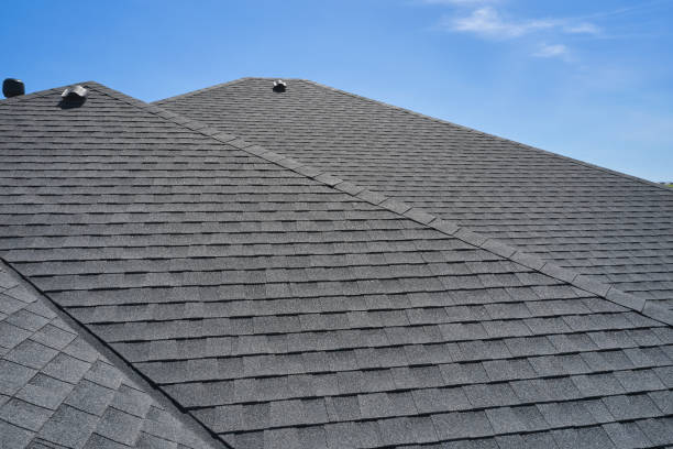Best Sheet Metal Roofing  in Hidalgo, TX