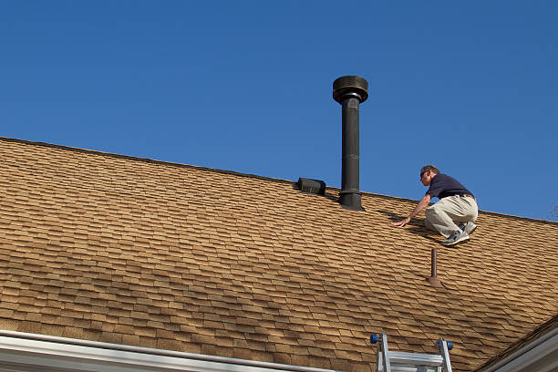 Best Roof Insulation Installation  in Hidalgo, TX